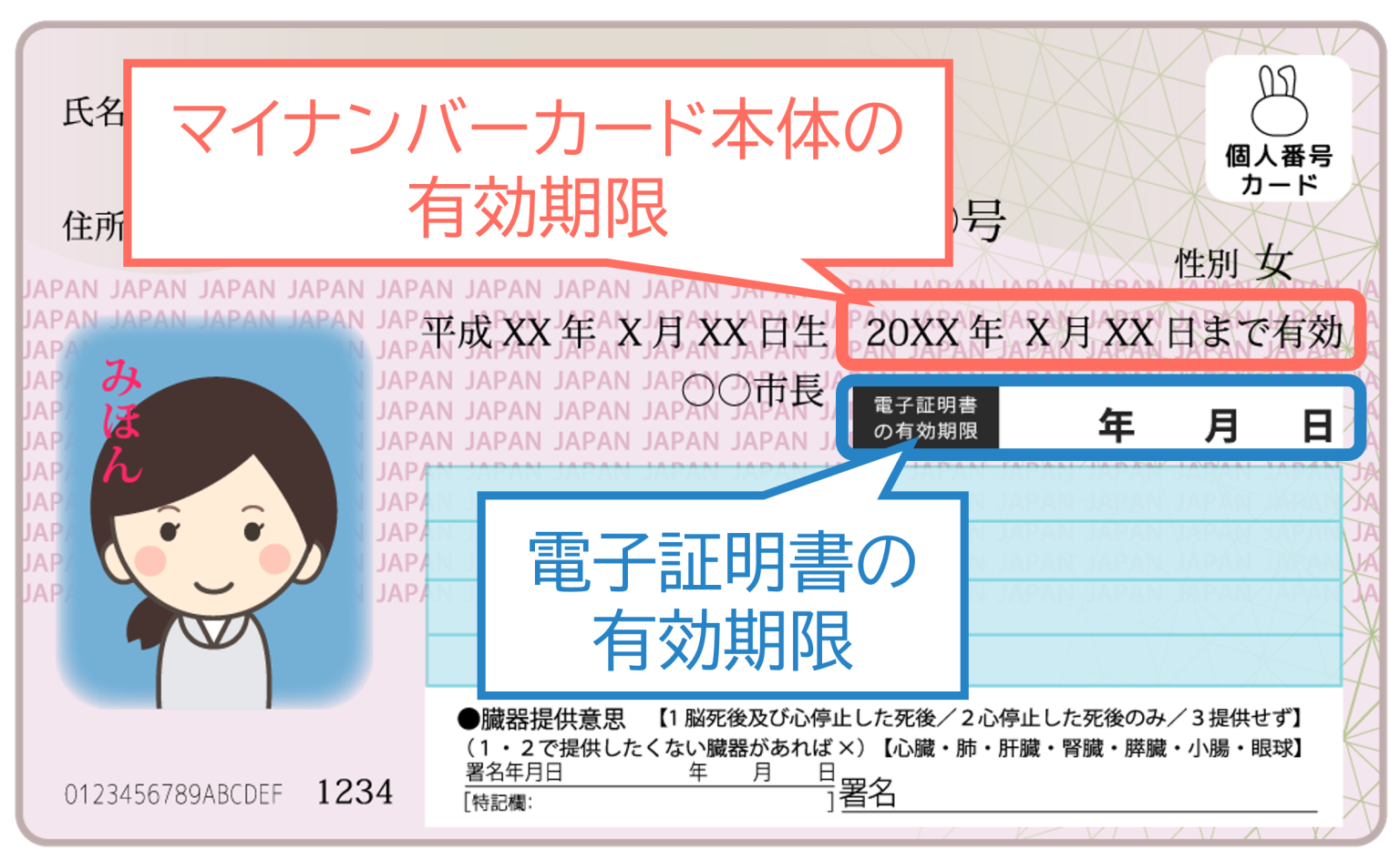 有効期限切れで困る前に!マイナンバーカード本体の更新手続きをサクッと解説 | 日本電子公証機構
